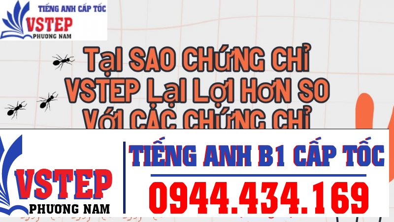 Tại sao chứng chỉ VSTEP lại lợi hơn so với các chứng chỉ anh ngữ khác?